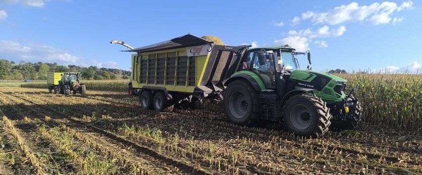 154054db-f6bf-4777-a840-181c643b1f78