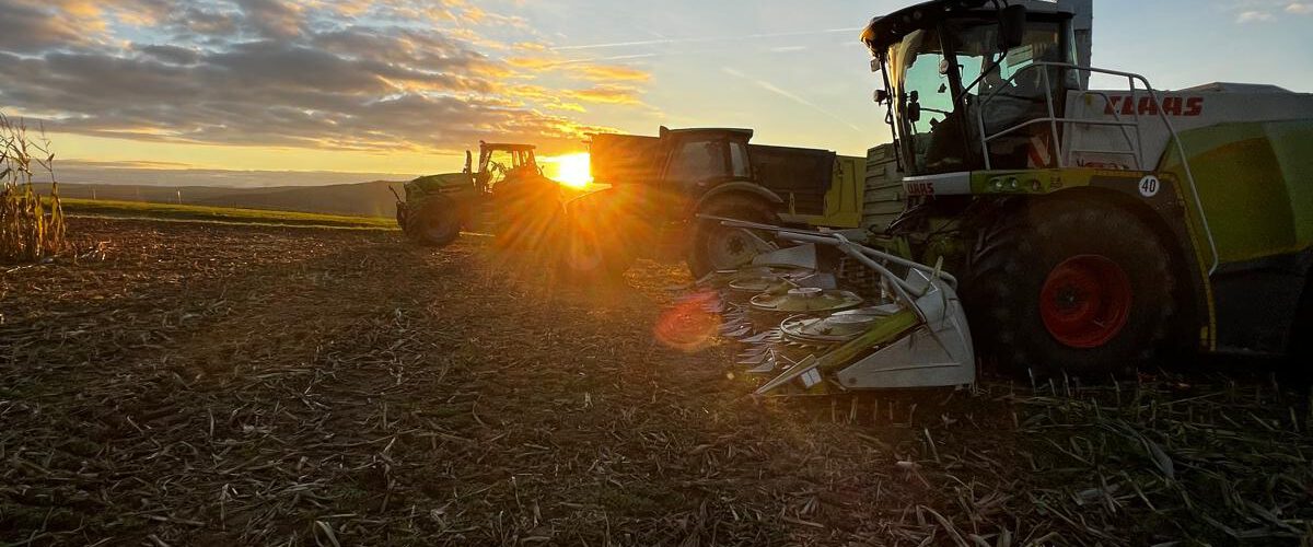 1cea7c85-8045-4a47-bfc3-37b563984705