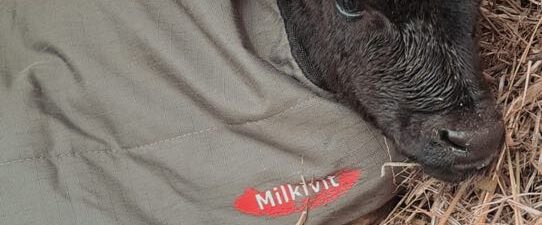 6c4b8d58-32dd-4575-af9d-7bba9d04d166