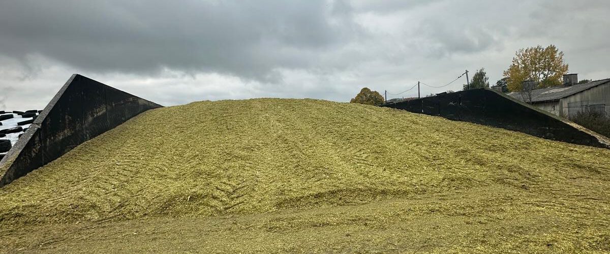 999d4cdc-1014-42ee-84bf-3977a6ed6854