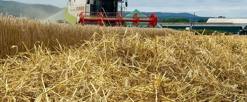 a768c988-6cb8-4c64-bc44-86f4cfcb59c8