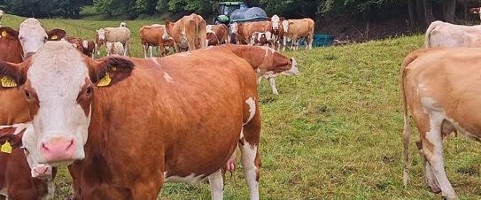 aee23c08-23ee-4852-ab9e-d8b50600fad2