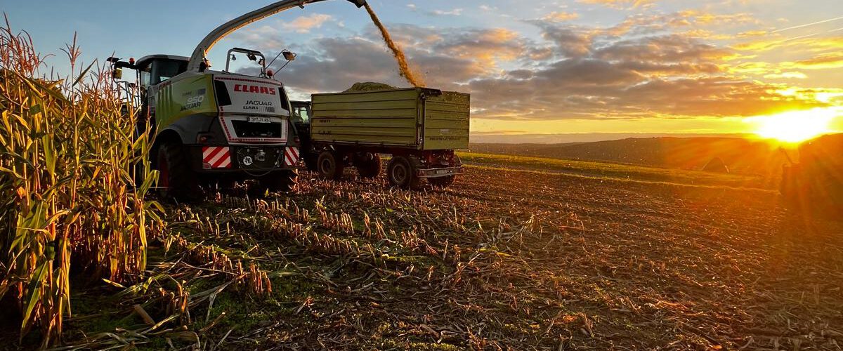 b7be6943-7212-4ef2-ac4e-0922981703e3