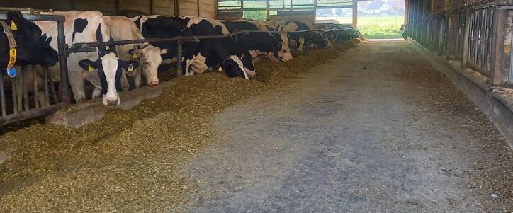 dac71657-2318-43af-af94-382068645835