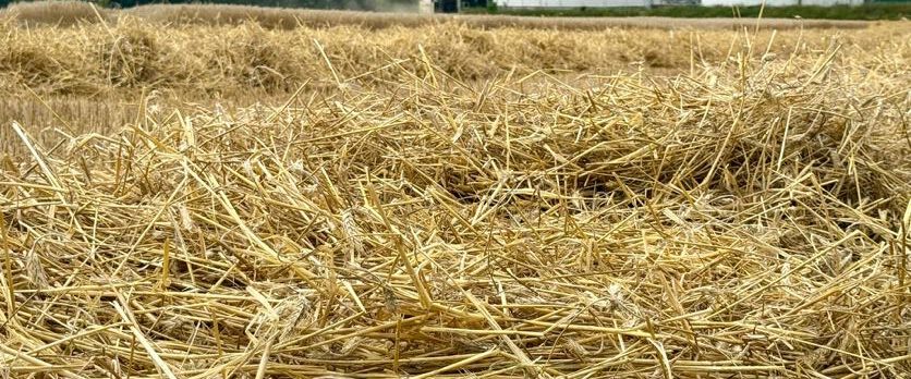 e10ffd4c-8b40-4bc7-946d-79b5e943a1da